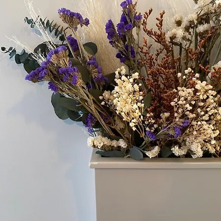 Canarios Cardal - I Daire *